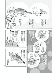 サンプル画像 No.3