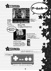 Sample No.2