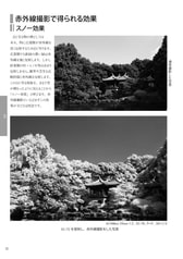 Sample No.3