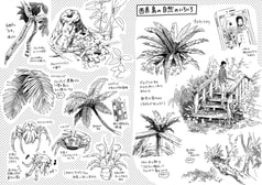 サンプル画像 No.4