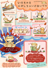 サンプル画像 No.3