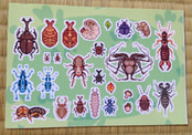 Bug Buddies Sticker Sheet