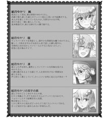 サンプル画像 No.1