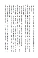 サンプル画像 No.3