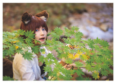 サンプル画像 No.2