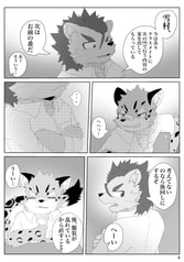 Sample No.4