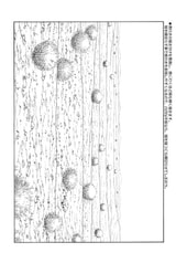 サンプル画像 No.3