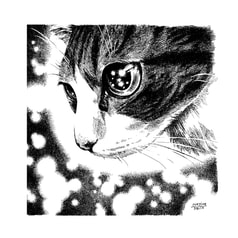 サンプル画像 No.3