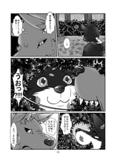 サンプル画像 No.5