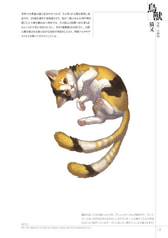 サンプル画像 No.2