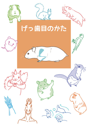 げっ歯目のかた