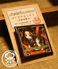 サンプル画像 No.4
