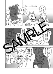 サンプル画像 No.2