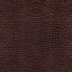 サンプル画像 No.6