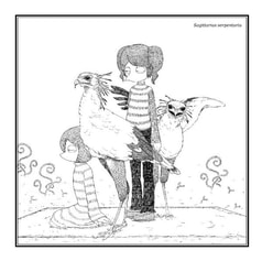 サンプル画像 No.5