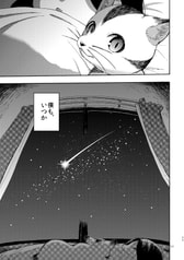 サンプル画像 No.5