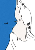 pool 22-2307