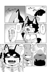 Sample No.3