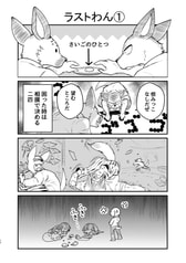 サンプル画像 No.3