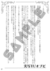サンプル画像 No.5