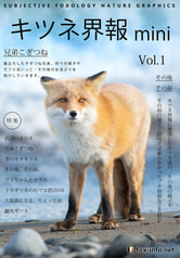 「キタキツネ写真集」キツネ界報mini Vol.1 