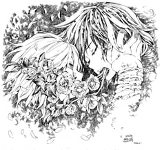 サンプル画像 No.2