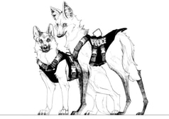 サンプル画像 No.3
