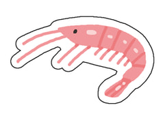 さくらえびアクキー