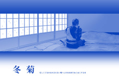 冬菊