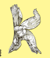 サンプル画像 No.2