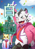 白き一般学生