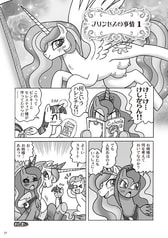 サンプル画像 No.6