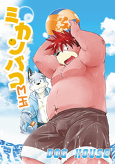 ミカンバコM玉【価格改定版】