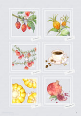 サンプル画像 No.6