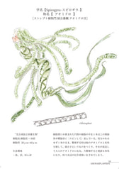 サンプル画像 No.4