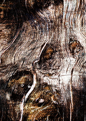 サンプル画像 No.4