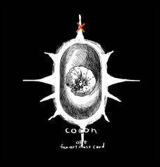 cocon