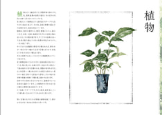 サンプル画像 No.4