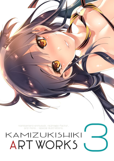 KAMIZUKI SHIKI ART WORKS 3