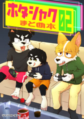 ホタシャク まとめ本 02