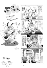 サンプル画像 No.3