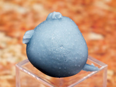 サンプル画像 No.3
