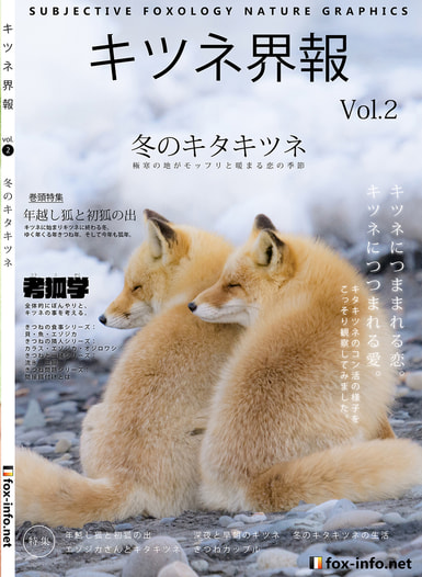 「キタキツネ写真集」キツネ界報 Vol.2 冬のキタキツネ