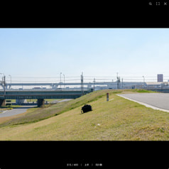 サンプル画像 No.5