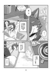 Sample No.5