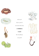 サンプル画像 No.3