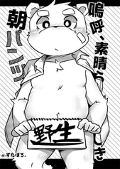 サンプル画像 No.2