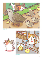 サンプル画像 No.1