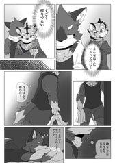 Sample No.2