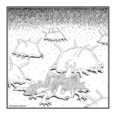 サンプル画像 No.4